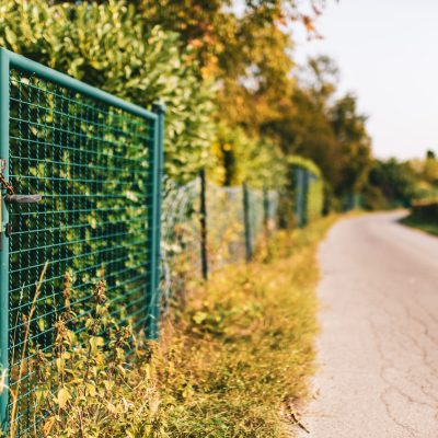 closeup shot of a metallic fence and bushes near a road